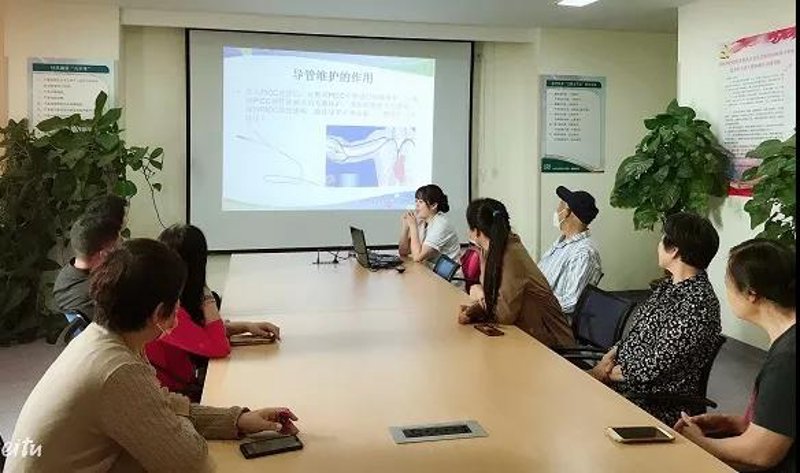 站群系统：网络时代的高效运营策略